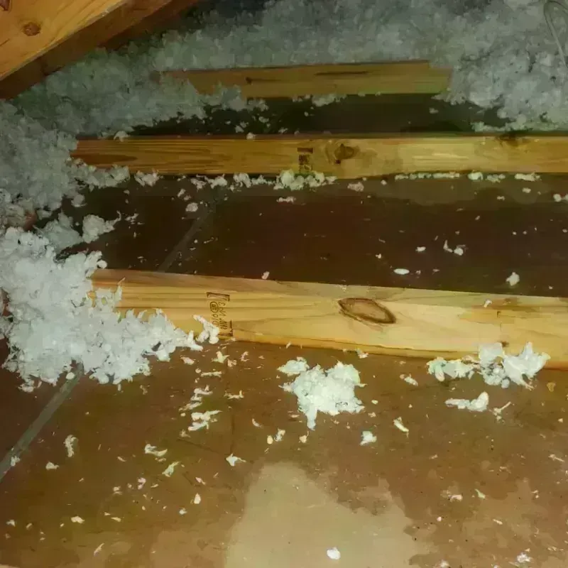 Attic Water Damage in Palo Pinto County, TX