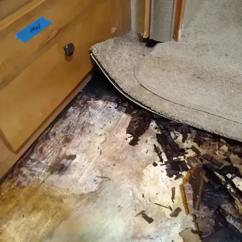 Best Wood Floor Water Damage Service in Palo Pinto County, TX